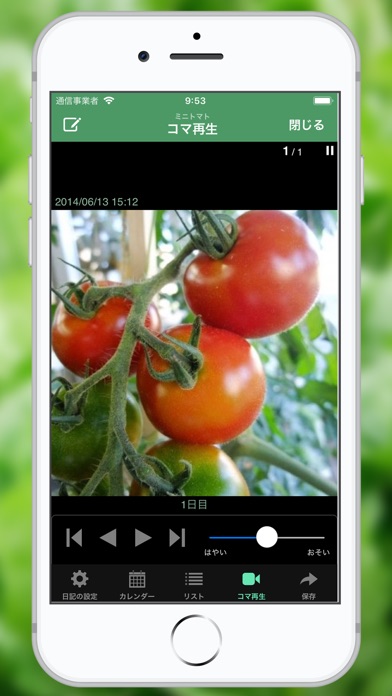 GreenDiary screenshot1