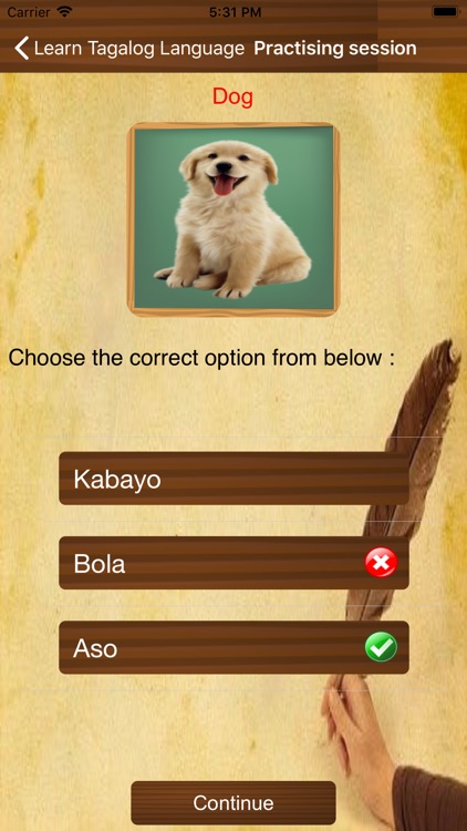 Learn Tagalog Language screenshot-3