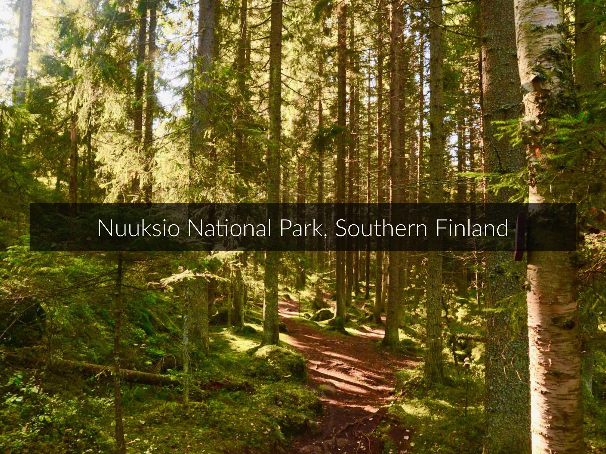 Walk In Finland screenshot 4