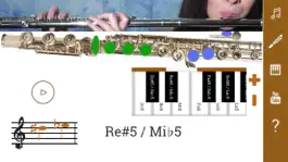 Game screenshot 2D Flute Fingering Chart hack
