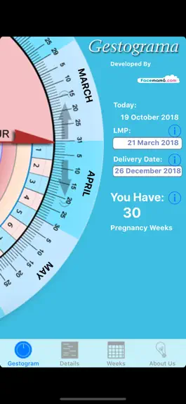 Game screenshot Pregnancy Gestogram apk