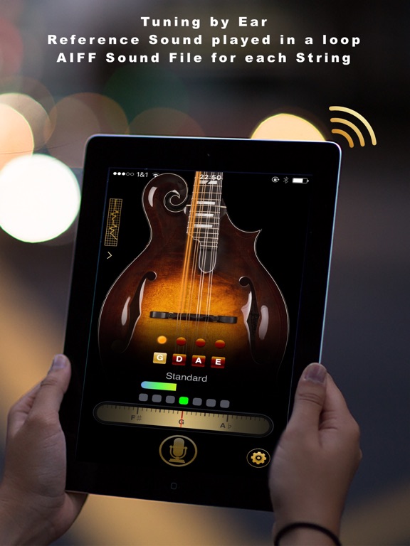 Screenshot #5 pour Simple Mandolin Tuner