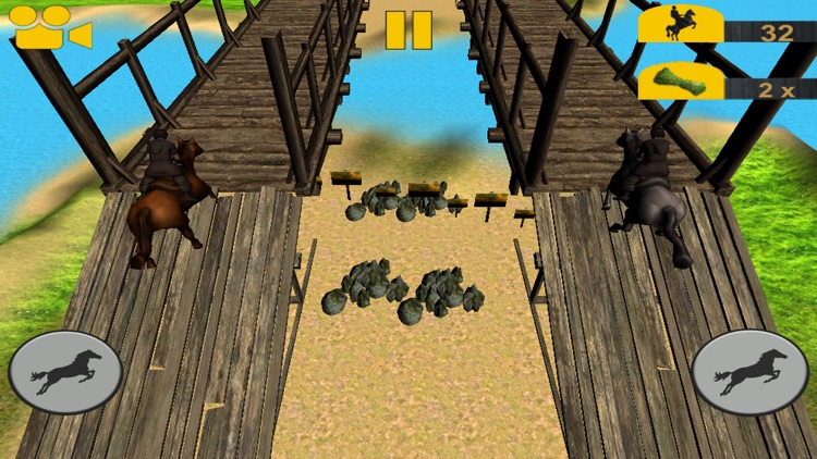 Crazy Horse Racing Champion