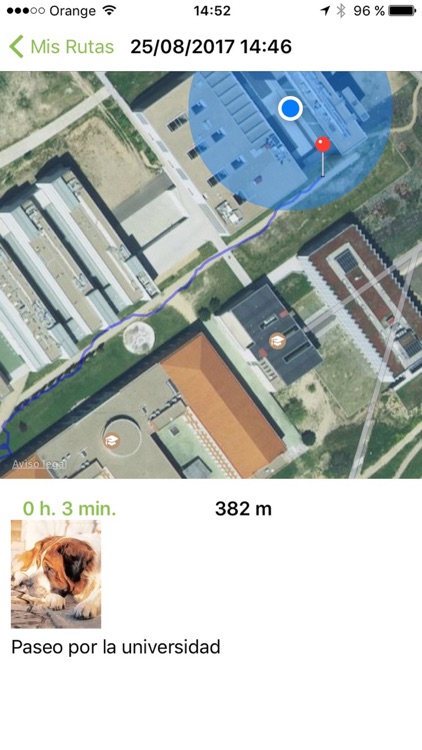 VET Alimento Veterinario