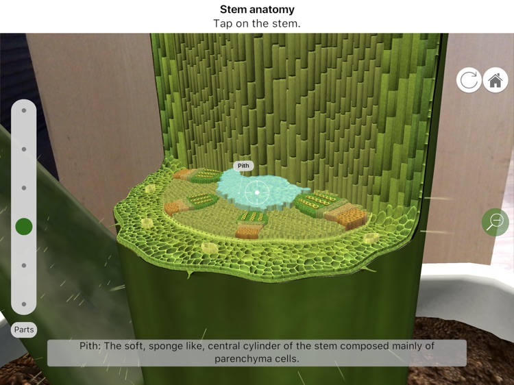 Plantale screenshot-4