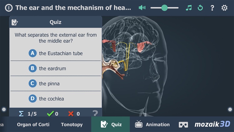 The mechanism of hearing 3D screenshot-5