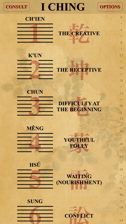 I Ching: Book of Changes