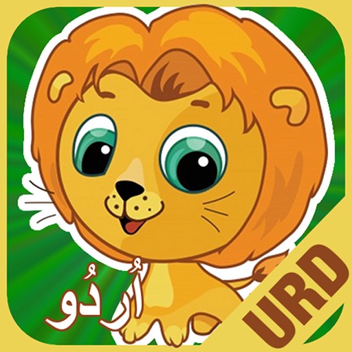 Flashcards Urdu Lesson icon