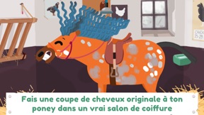 Capture d'écran