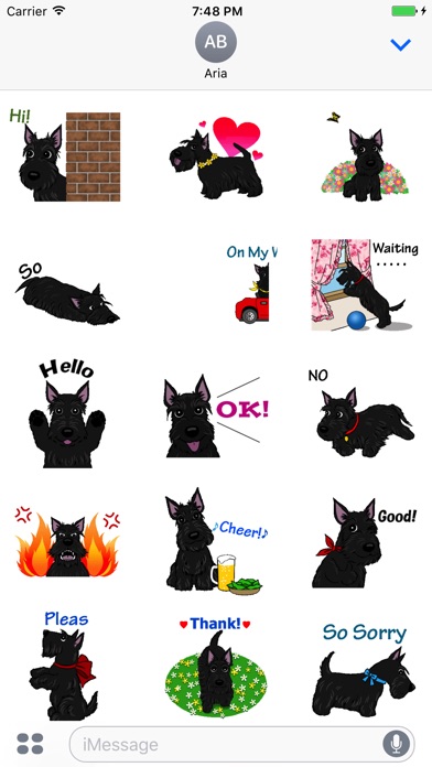 Cute Scottish Terrier Dog Icon on the App Store