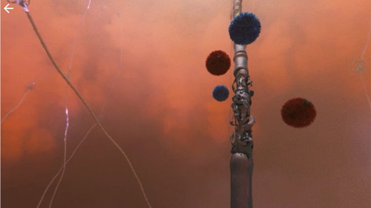 Virtual Myelin screenshot-3