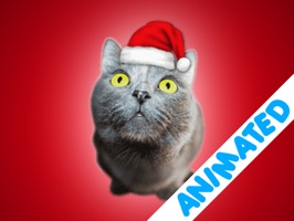 Cute Christmas Cats (animated)