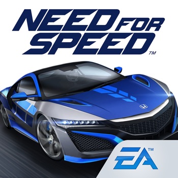 Need for Speed: NL Racing