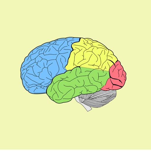 Human Brain Sticker Pack icon