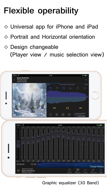 KaiserTone Audio Player +HiRes screenshot-3