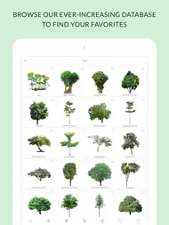 Landscape Design Editor ipad bilder 2