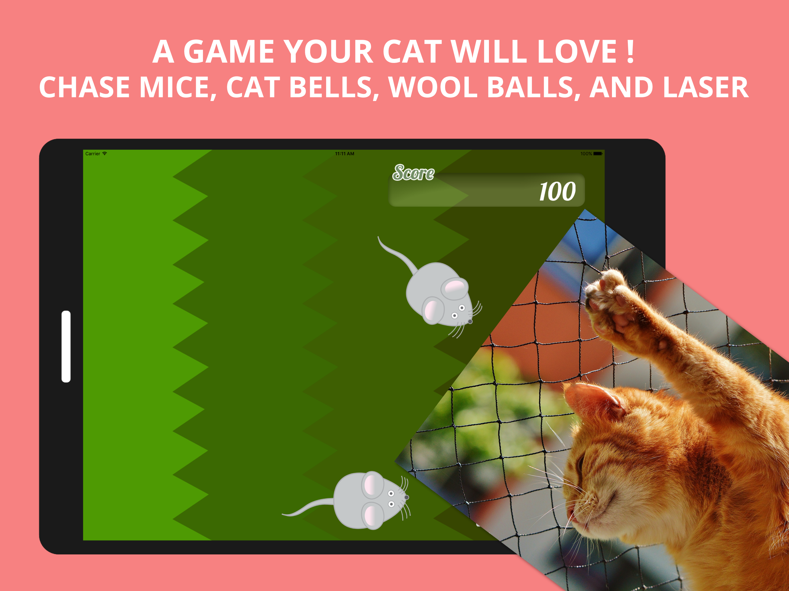 Best Game for Cats screenshot 6