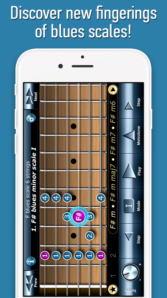 Bluesman Guitar Scales - 4.0 - (iOS)