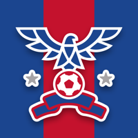 Team Crystal Palace