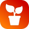 House Plant Dictionary - iPadアプリ