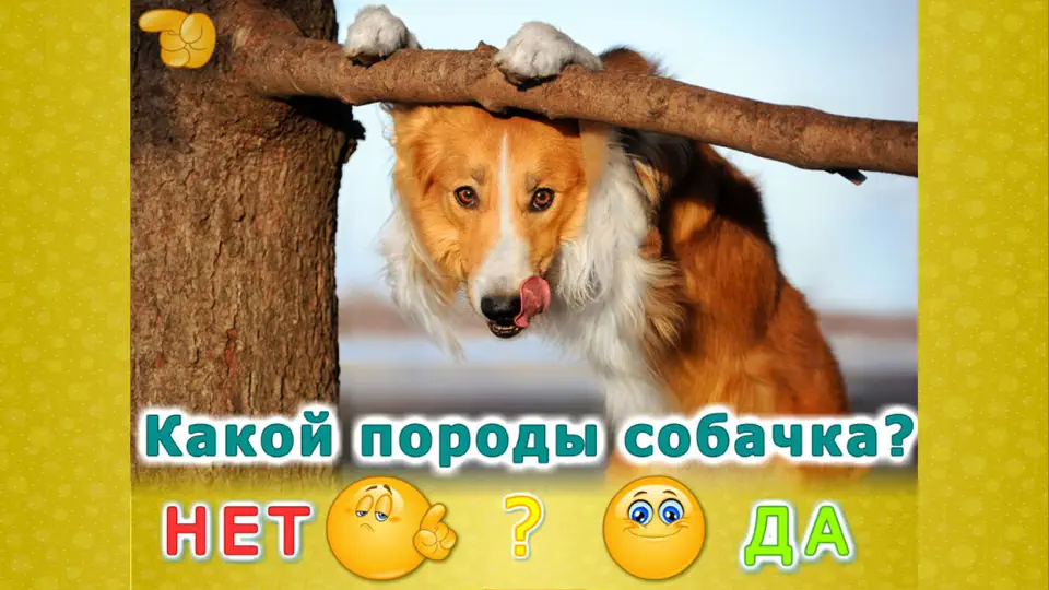 Скриншот Животные для детей! LITE на iPhone 5