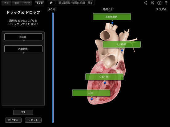 Heart Pro IIIのおすすめ画像3