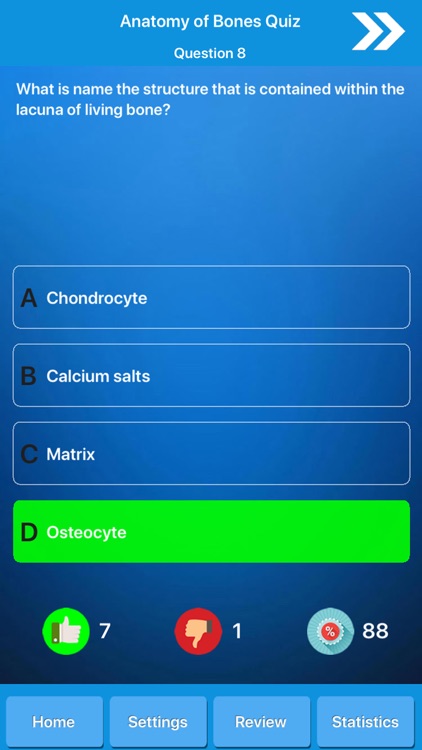 Skeletal System Anatomy screenshot-4
