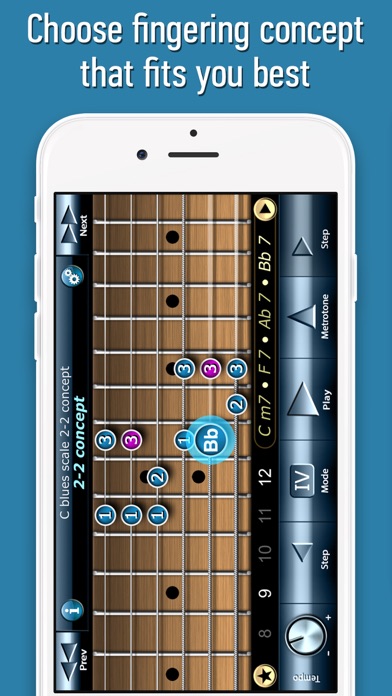 Screenshot #3 pour Bluesman Guitar Scales