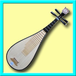 Chinese Instruments