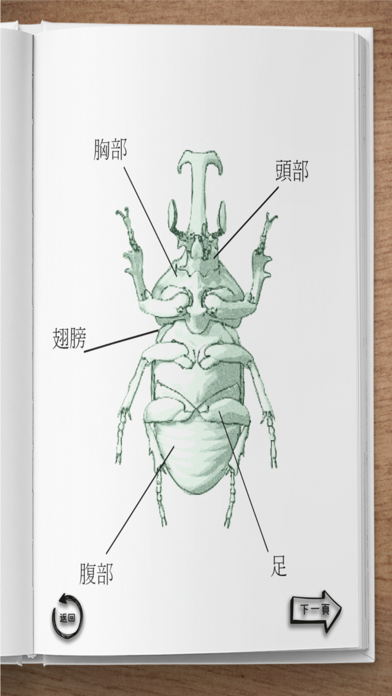 The Insect AR screenshot