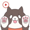 Animated Catty Stickers