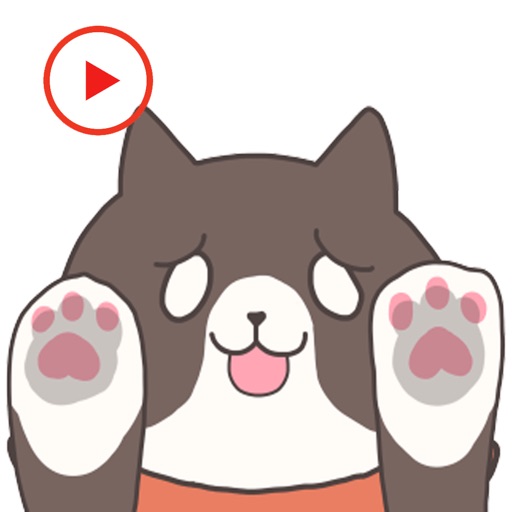 Animated Catty Stickers icon