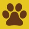 With over 30 years experience in dog training and handling, we are here to help with whatever your requirements or concerns are