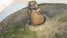 Game screenshot Где живет Белый Барс? hack