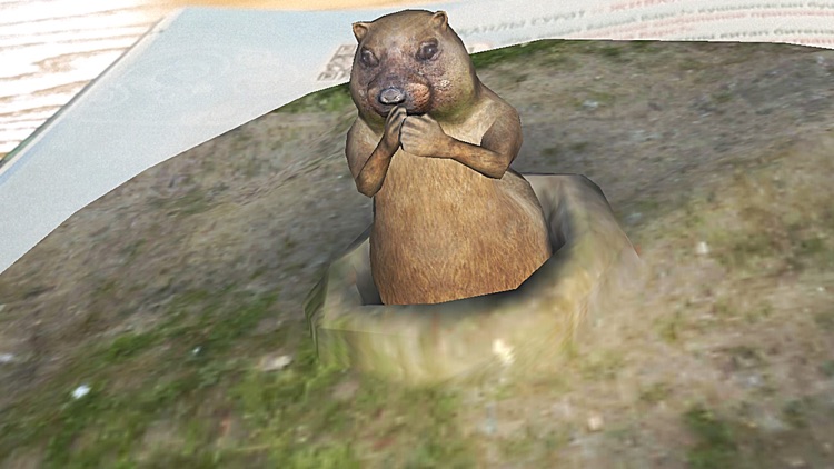 Где живет Белый Барс?