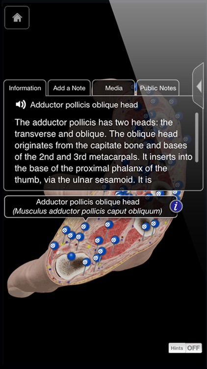 Hand & Wrist Pro III screenshot-3