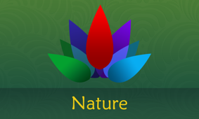 Chill & Relax Nature: Green Forest, Calm Water App Icon, Apple TV App Store 免费榜 Rank #13