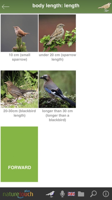 Identify live bird songs Screenshot