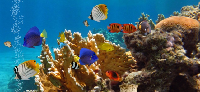 Myreef 3d Aquarium 2 Lite をapp Storeで