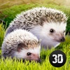 Forest Hedgehog Survival Simulator 3D