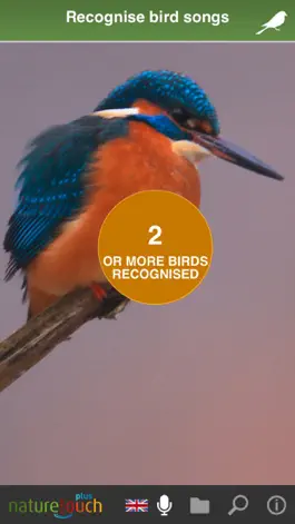 Game screenshot Identify live bird songs hack