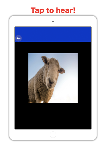 Country Zoo: Farm Animal Games - náhled