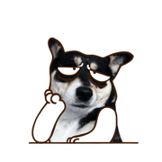 Husky Dog Animated Stickers