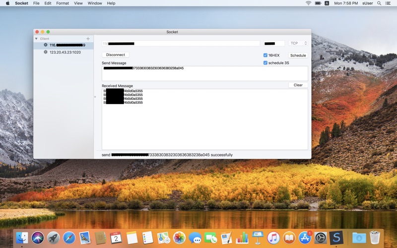 Screenshot #2 pour Socket-tcp/udp tool