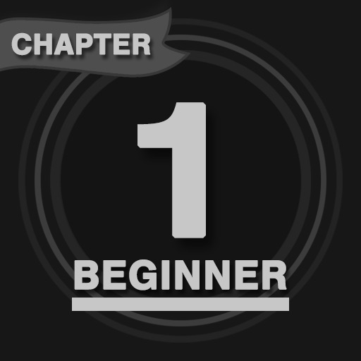 Beginner