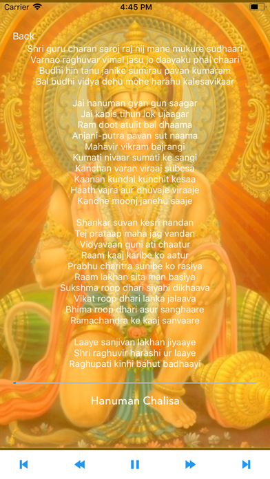 Screenshot #3 pour Om - Hindu Mantras and Bhajans