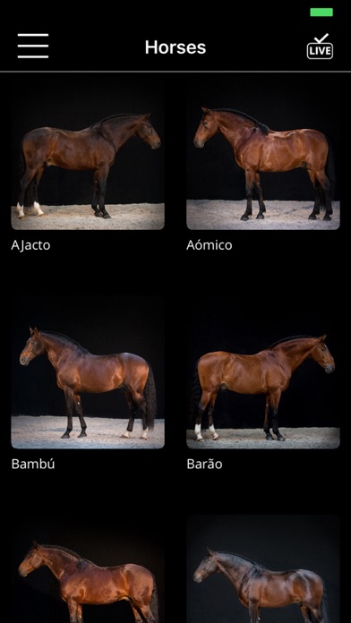 Arte Equestre screenshot 3