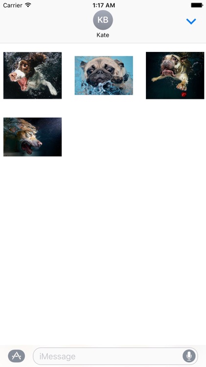 Dog Under Water Funny Sticker