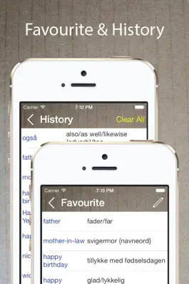 Game screenshot Danish English Dictionary Pro hack