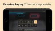 Harmonica iphone bilder 4